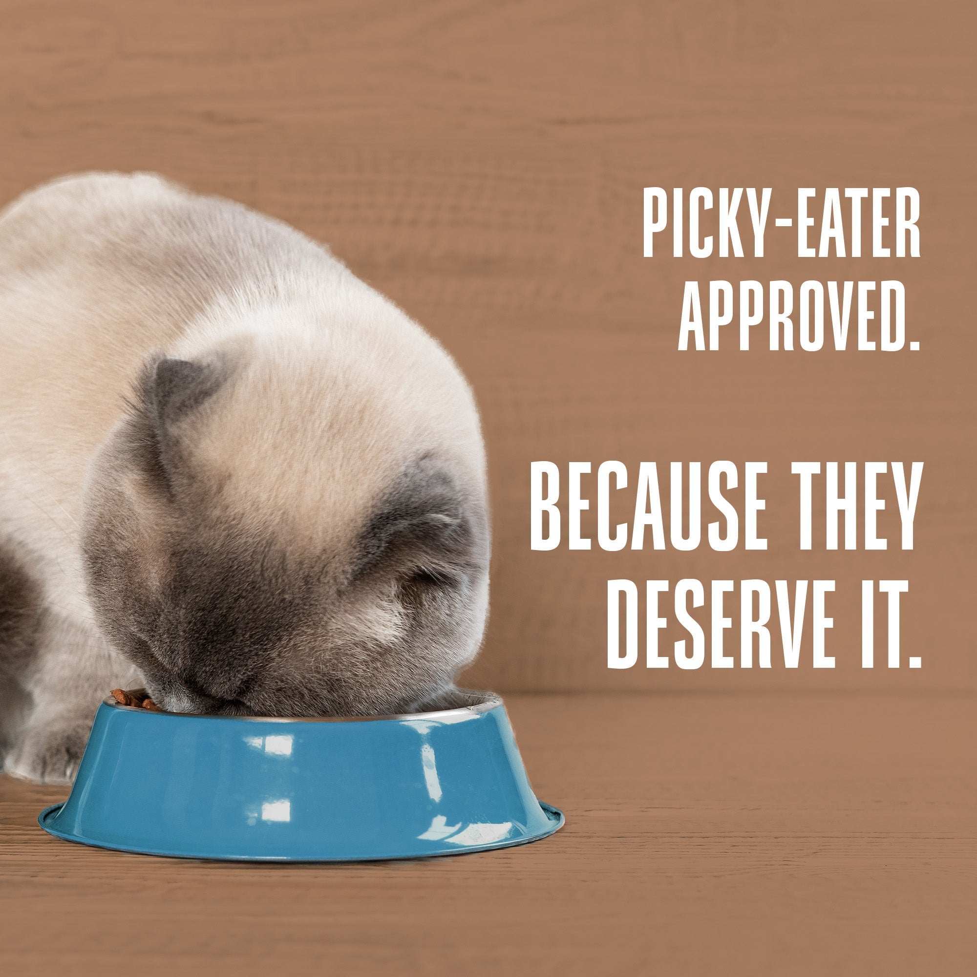 Nature’s Remedy Healthy Skin & Allergy Support.  Human-Grade, Grain-Free, Whole Food Supplement for Cats - Made in Our Own Kitchens