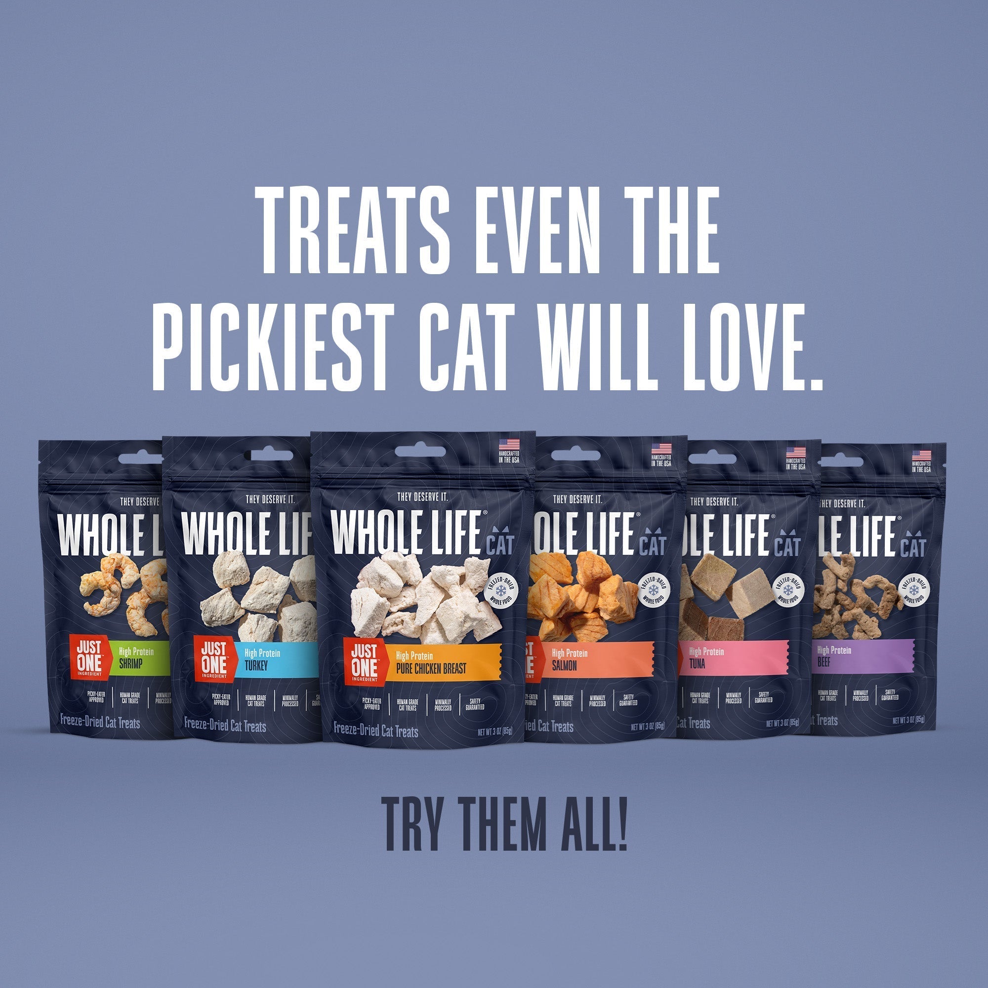Just One Salmon Cat Treats – Human Grade, Picky Eater Approved, Made in Our Own Kitchens