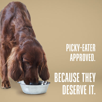 Nature’s Remedy Healthy Skin & Allergy Support.  Human-Grade, Grain-Free, Whole Food Supplement for Dogs - Made in Our Own Kitchens