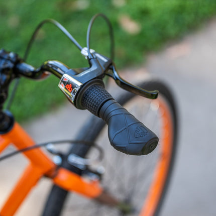 Adult Bike