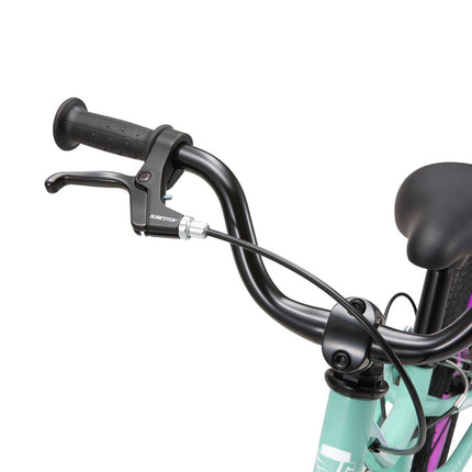 14 Inch Bike