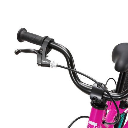 14 Inch Bike