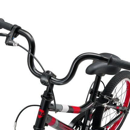 16 Inch Bike