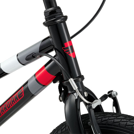 16 Inch Bike