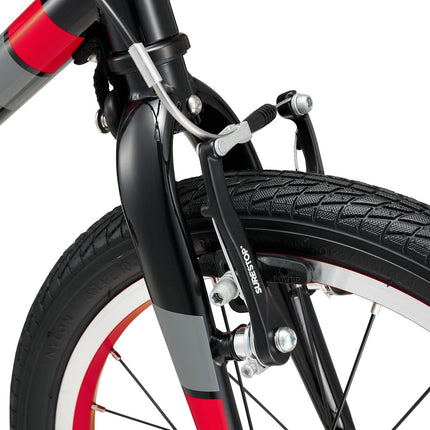 16 Inch Bike