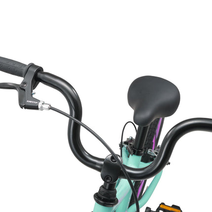 16 Inch Bike