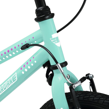 16 Inch Bike