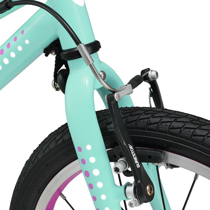16 Inch Bike