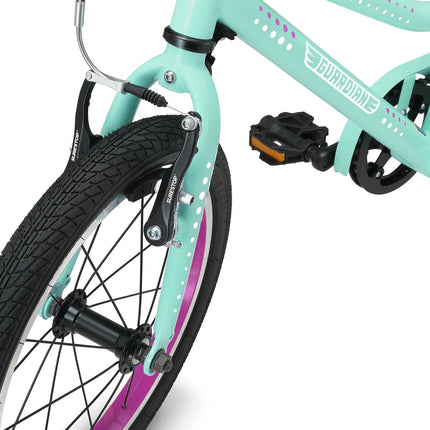 16 Inch Bike