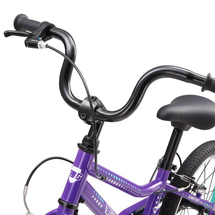 16 Inch Bike