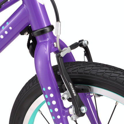 16 Inch Bike