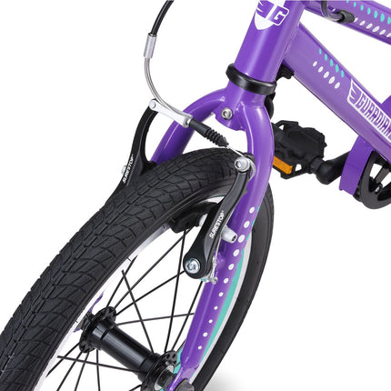 16 Inch Bike