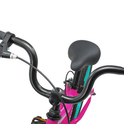16 Inch Bike