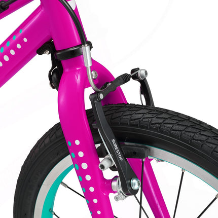 16 Inch Bike