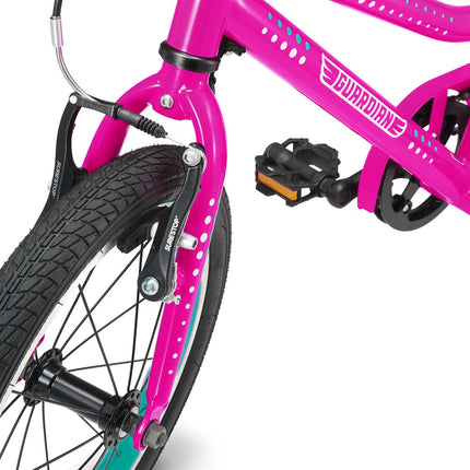 16 Inch Bike