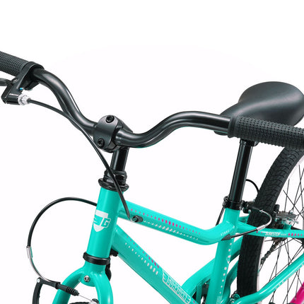 20 Inch Small Bike