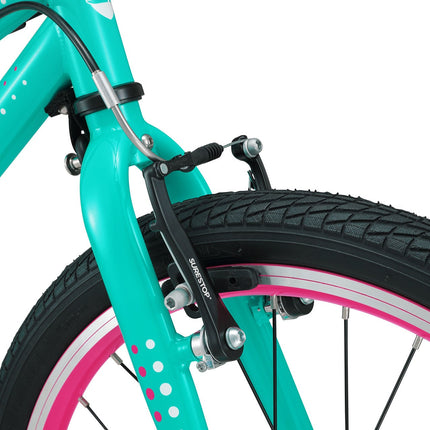 20 Inch Small Bike