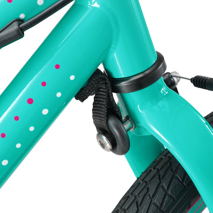 20 Inch Small Bike