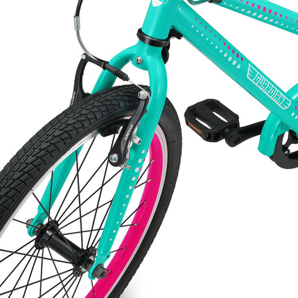 20 Inch Small Bike
