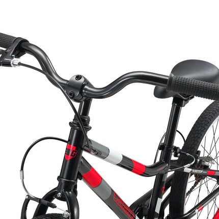 20 Inch Small Bike