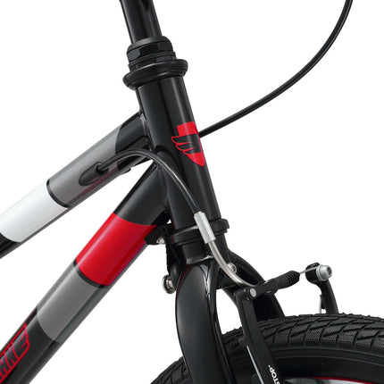 20 Inch Small Bike