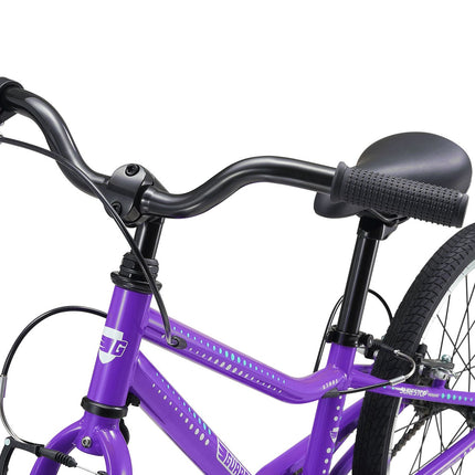20 Inch Small Bike