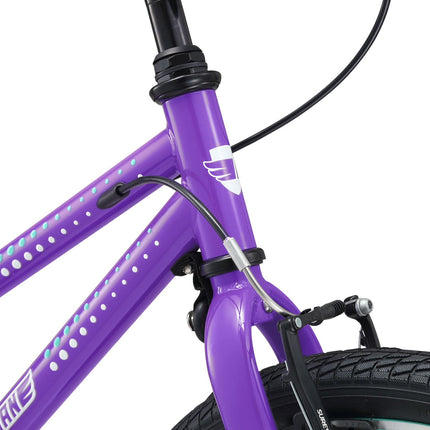 20 Inch Small Bike