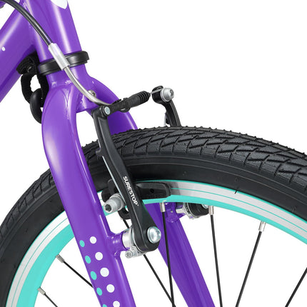 20 Inch Small Bike