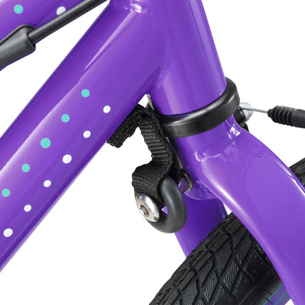 20 Inch Small Bike
