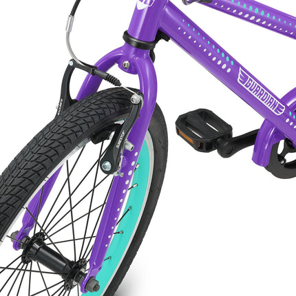 20 Inch Small Bike