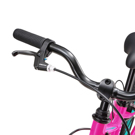 20 Inch Small Bike