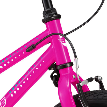 20 Inch Small Bike