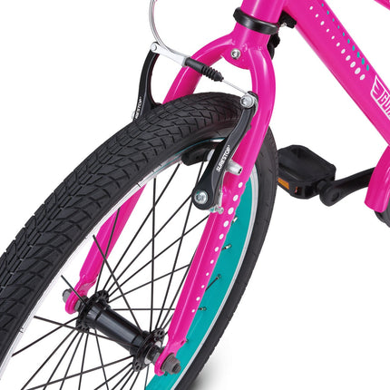 20 Inch Small Bike