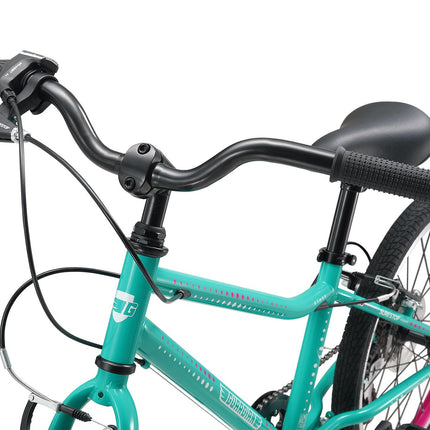 20 Inch Large Bike