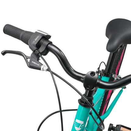 20 Inch Large Bike
