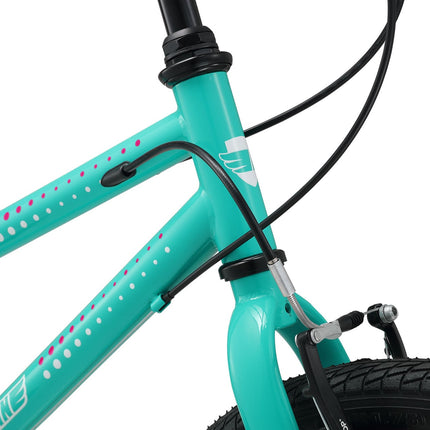 20 Inch Large Bike