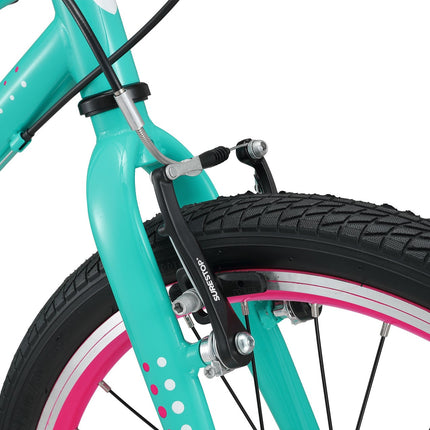 20 Inch Large Bike