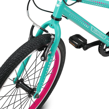 20 Inch Large Bike