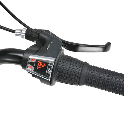 20 Inch Large Bike