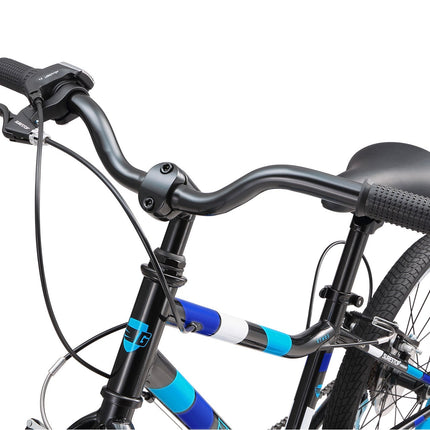 20 Inch Large Bike