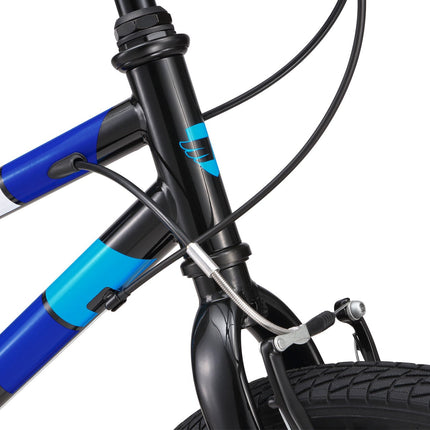20 Inch Large Bike