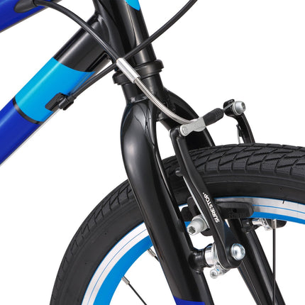 20 Inch Large Bike
