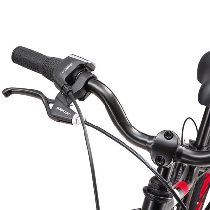 20 Inch Large Bike