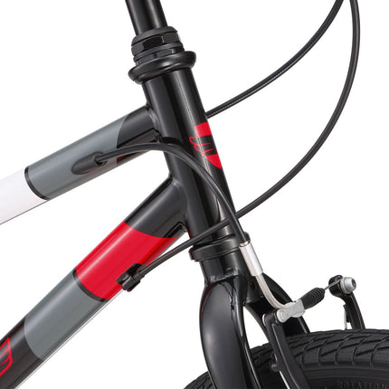20 Inch Large Bike