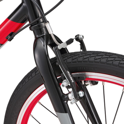 20 Inch Large Bike