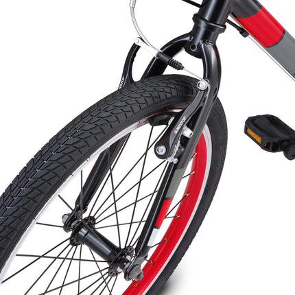 20 Inch Large Bike