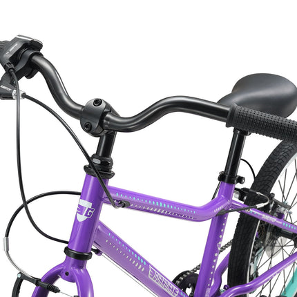 20 Inch Large Bike