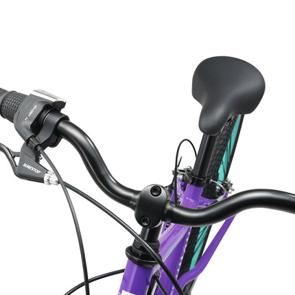 20 Inch Large Bike