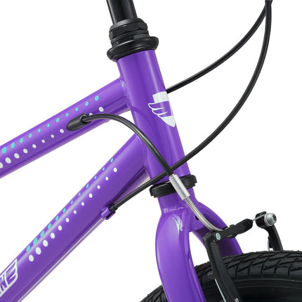 20 Inch Large Bike