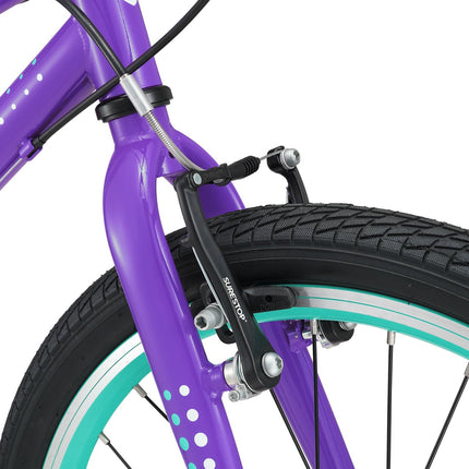 20 Inch Large Bike